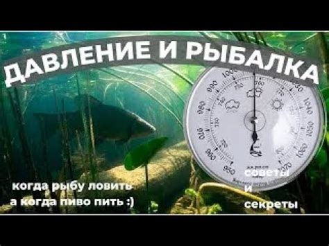 Влияние условий содержания на активность рыб