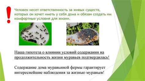 Влияние условий содержания на продолжительность окота