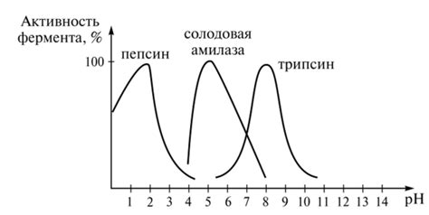 Влияние ферментов и антикоагулянтов