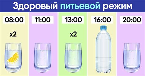 Воздействие температурного режима на питьевой режим