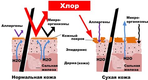 Воздействие хлора
