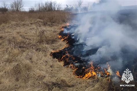Возможная связь с погодными условиями