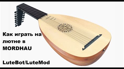 Возможность занятий игрой на лютне на профессиональном уровне