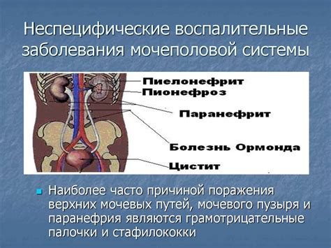 Воспаление в области колостомы