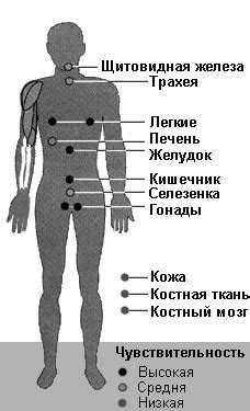 Вредное воздействие на слуховые органы