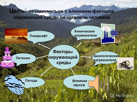 Вредные факторы окружающей среды