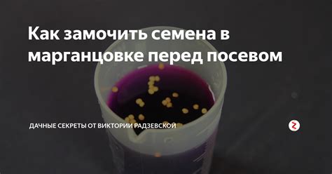 Время купания в марганцовке