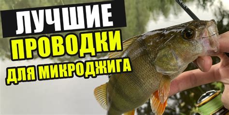 Выбор приманок и экипировки