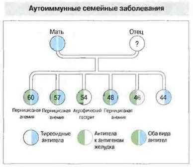 Генетические факторы и влияние породы