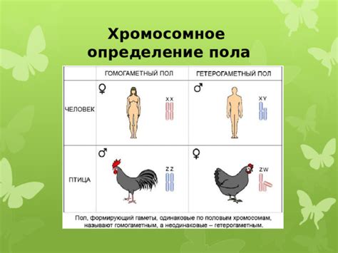 Генетическое предопределение