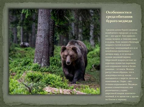 География обитания бурого ушана