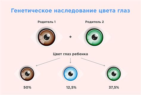 Глаз