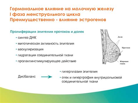 Гормональное влияние на появление мурашек