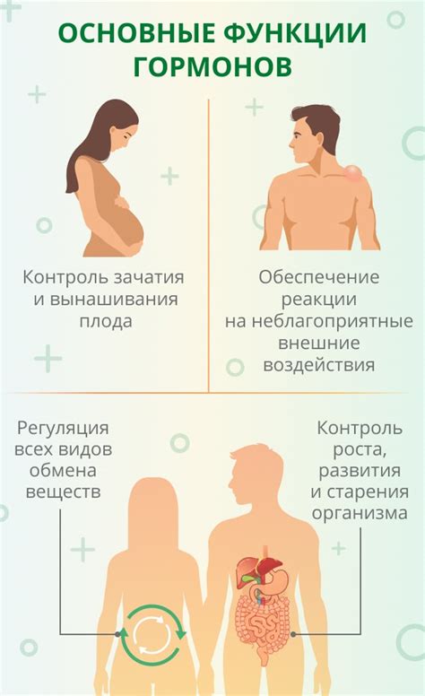 Гормональный фон и половые гормоны