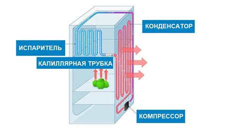 Движение воздуха внутри холодильника