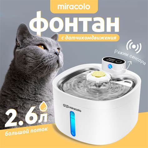 Движения котов: