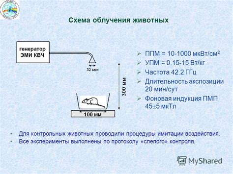 Длительность экспозиции при полуспиртовом компрессе