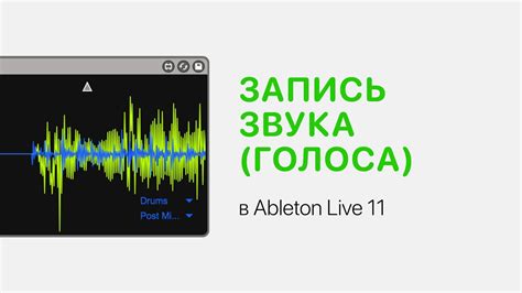 Другие программы и устройства, влияющие на пропадание звука в Ableton