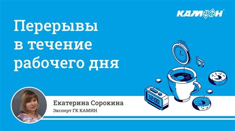 Задачи и обязанности тьютора в течение рабочего дня