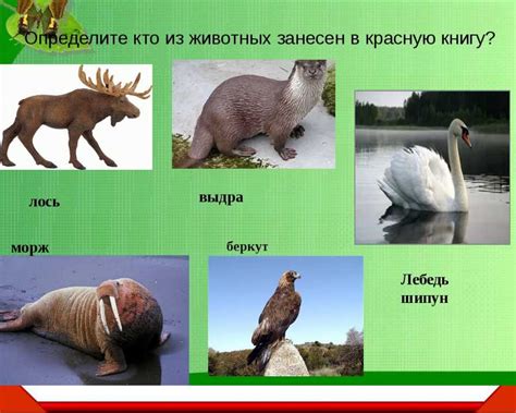 Занесение в красную книгу
