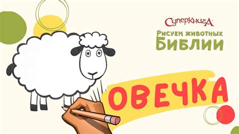 Запрещено употребление крови животных по Библии