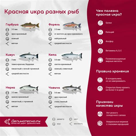 Значение метания икры для популяции икорных рыб