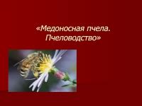 Значение пчел в сельском хозяйстве