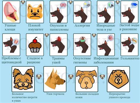 Значение тряски головой и хлопания ушами для поросят
