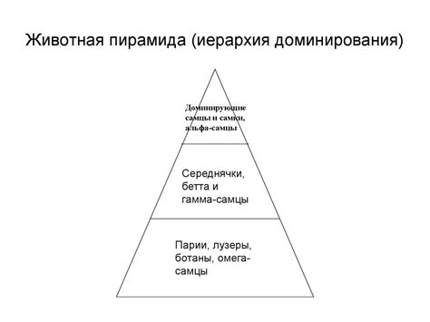 Иерархия и установление групповой доминирования