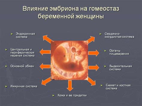 Изменения в организме кошки