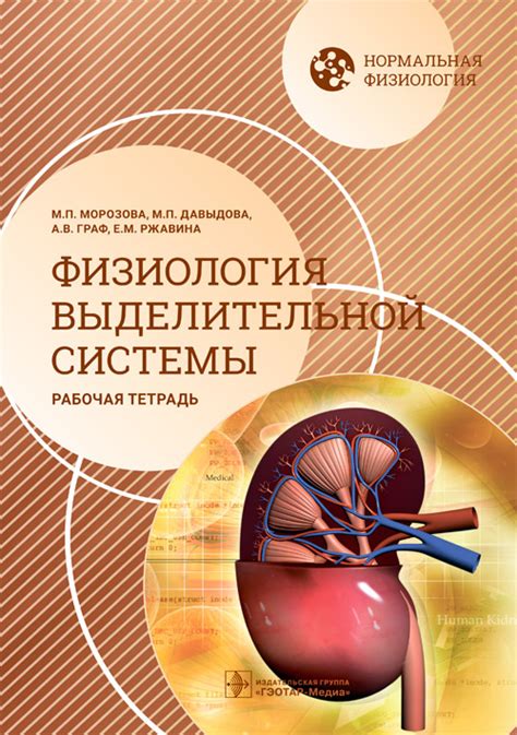 Изменения физиологии выделительной системы