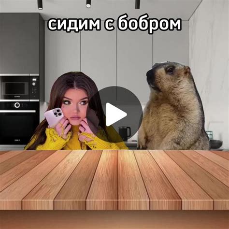 История общения и эмоциональная связь