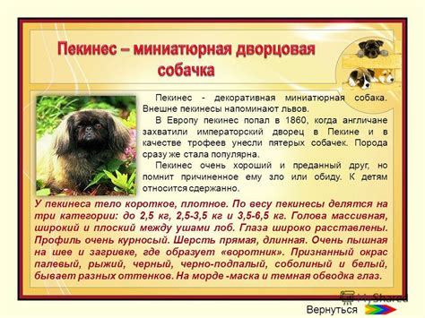 Истребление хоботковых собачек в качестве трофеев