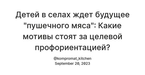 Какие мотивы стоят за решением