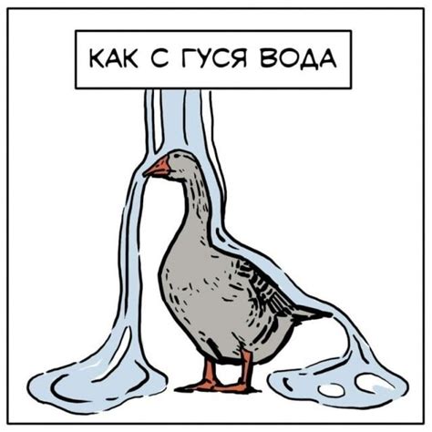 Как вода взаимодействует с керамогранитом
