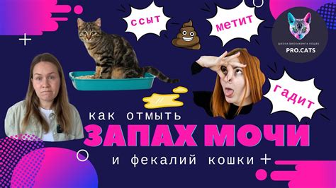 Как избавиться от запаха пота, напоминающего кошачью мочу