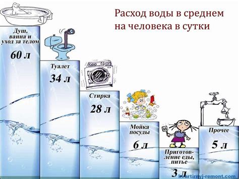Как обеспечить достаточное потребление воды йорком: полезные советы