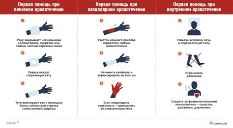 Как оказать первую помощь при кровотечении из уха кошки:
