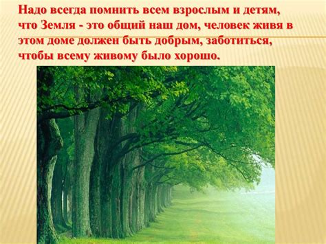 Как уважительное отношение к природе способствует экологии
