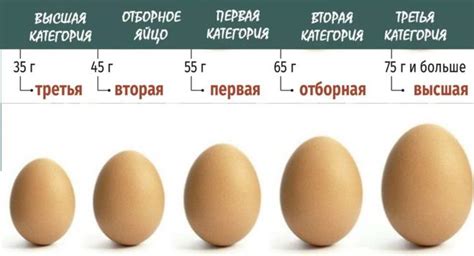 Количество влаги в яйце
