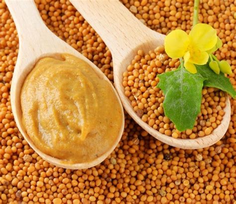 Комбинирование горчицы с другими продуктами