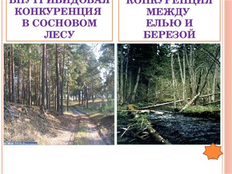 Конкуренция с местными видами