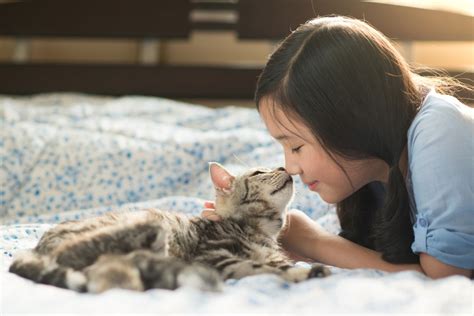 Коты демонстрируют доверие