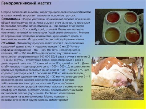 Мастит и другие заболевания вымени