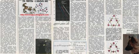 Медицинские аспекты и собачий нюх под хвостом