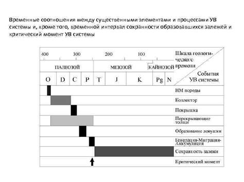 Между процессами покраски: временные интервалы и особенности