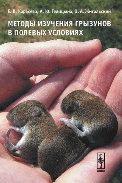 Методы ограничения численности грызунов