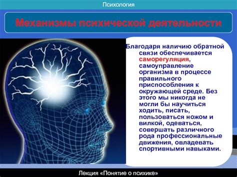 Механизм саморегуляции