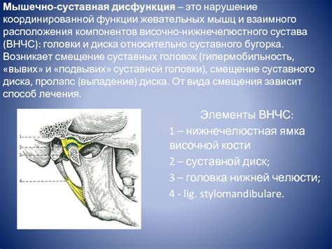 Нарушение функции жевательных мышц