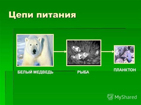 Нарушение цепи положительного питания